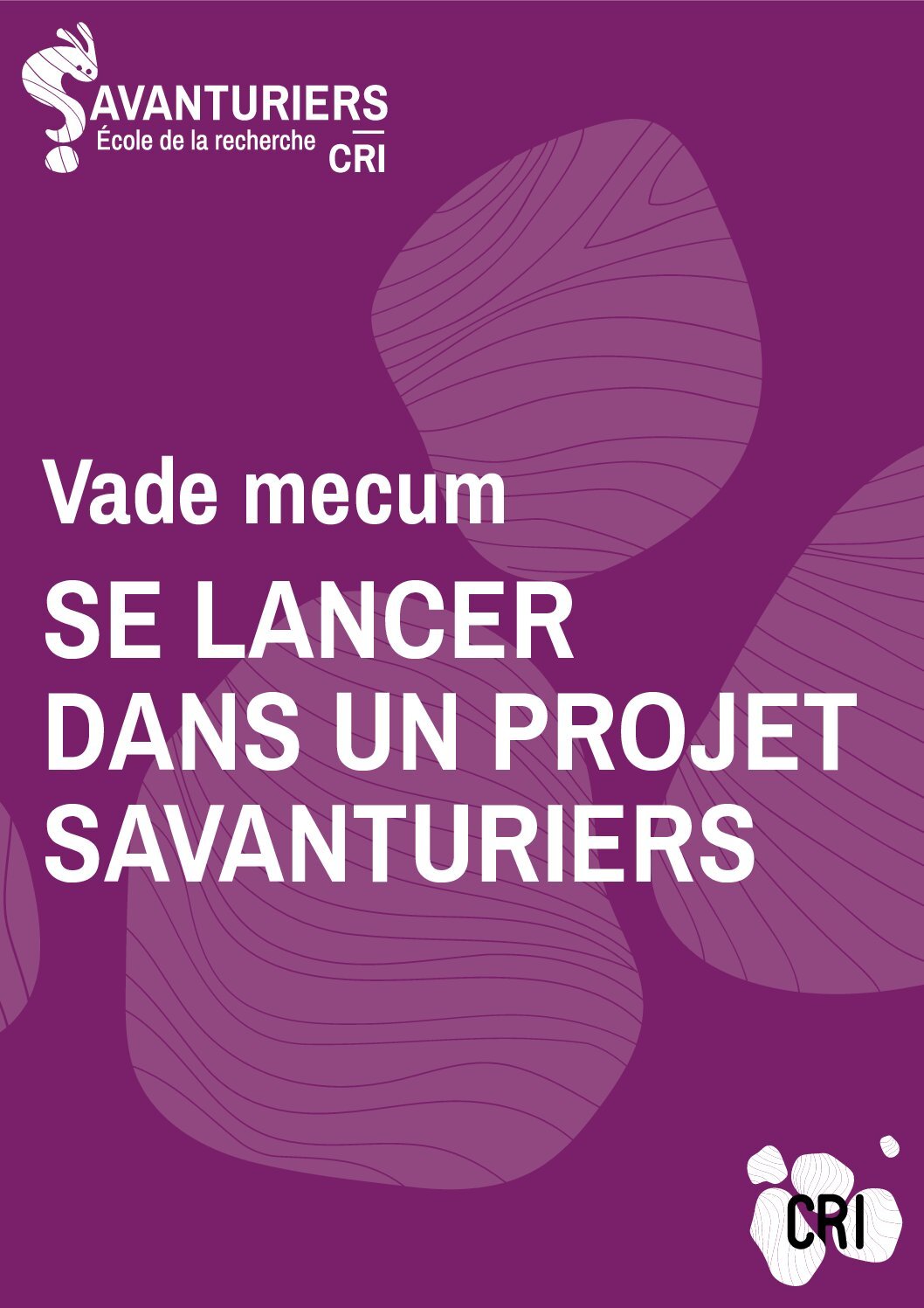 Vademecum SE LANCER DANS UN PROJET SAVANTURIERS