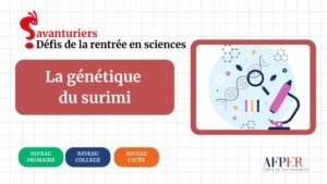 Défi – La génétique du surimi