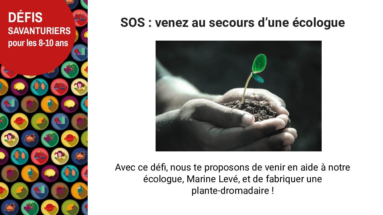 Défi – Venez au secours d’une écologue?>