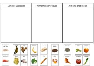 Ressource : « Nutrition, recherche documentaire »